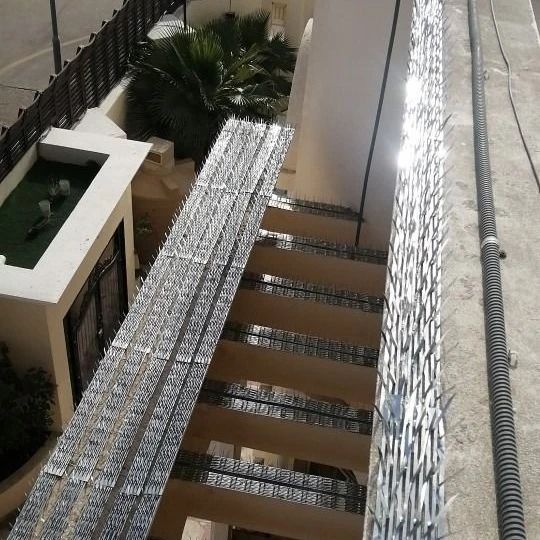 طارد حمام طارد حمام